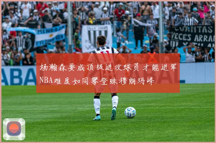 杨瀚森要成顶级进攻球员才能进军NBA难度如同攀登珠穆朗玛峰